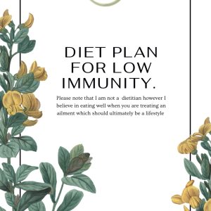 Diet plan for low immunity (specifically for HIV)