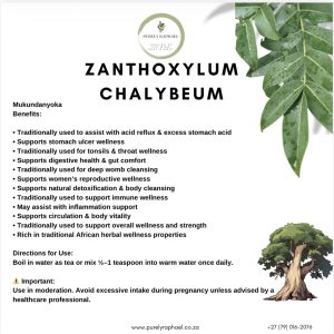 Zanthoxylum chalybeum 100 grams