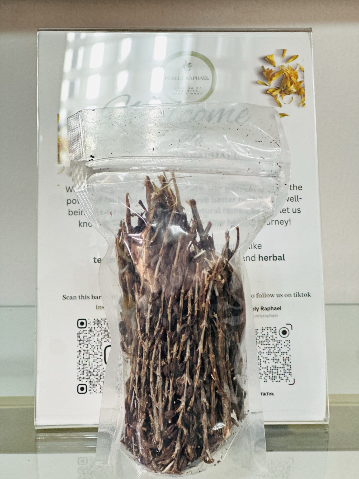 Resurrection plant (umfavuka/Mufandichimuka) - Image 3