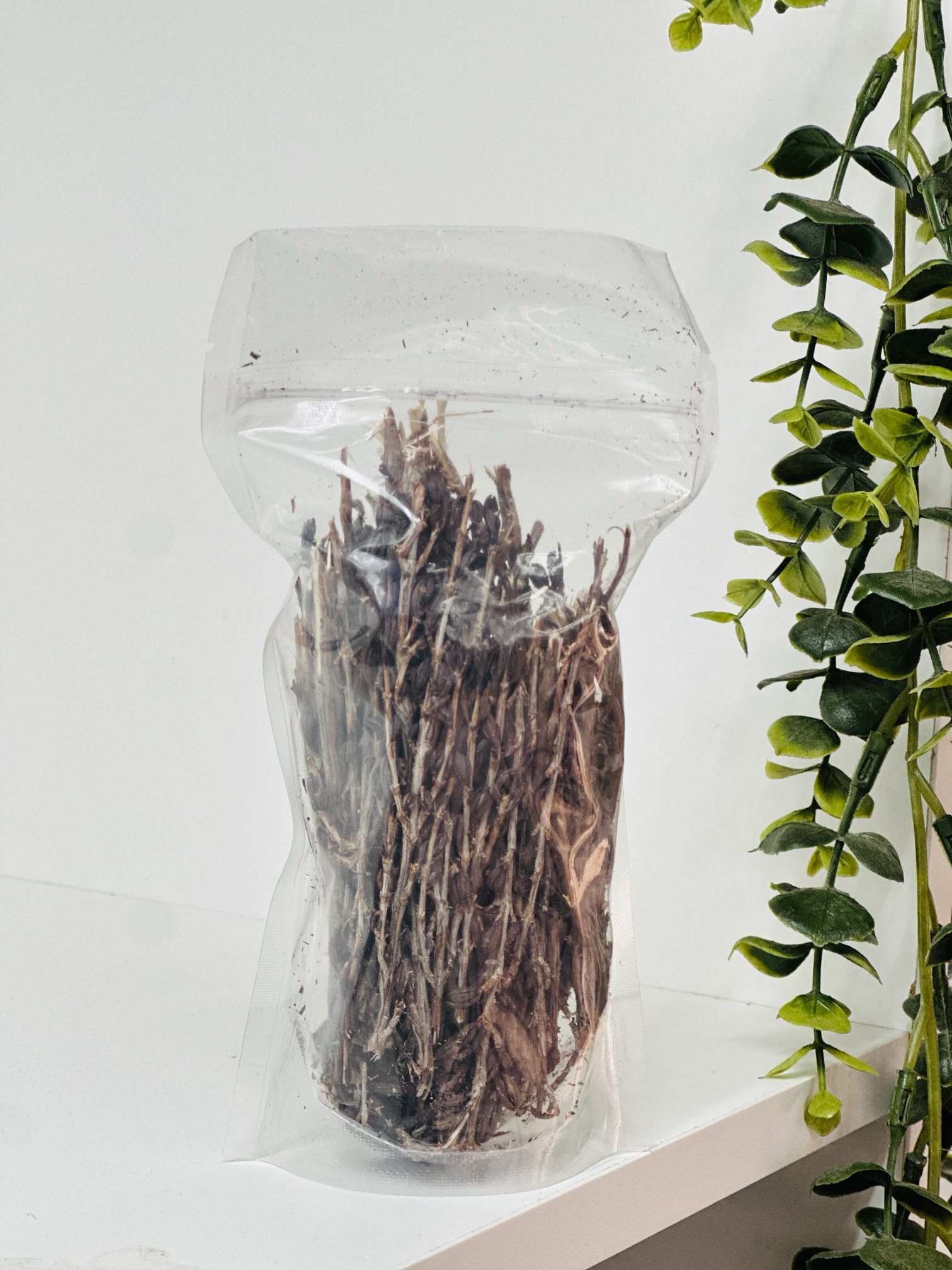 Resurrection plant (umfavuka/Mufandichimuka) - Image 2
