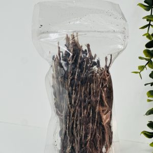 Resurrection plant (umfavuka/Mufandichimuka)