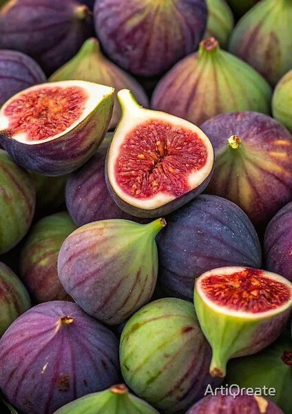 Turkish 🇹🇷 Dried Figs (120g) - Image 3