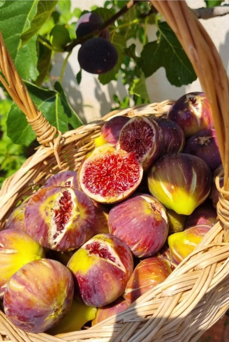 Turkish 🇹🇷 Dried Figs (120g) - Image 2