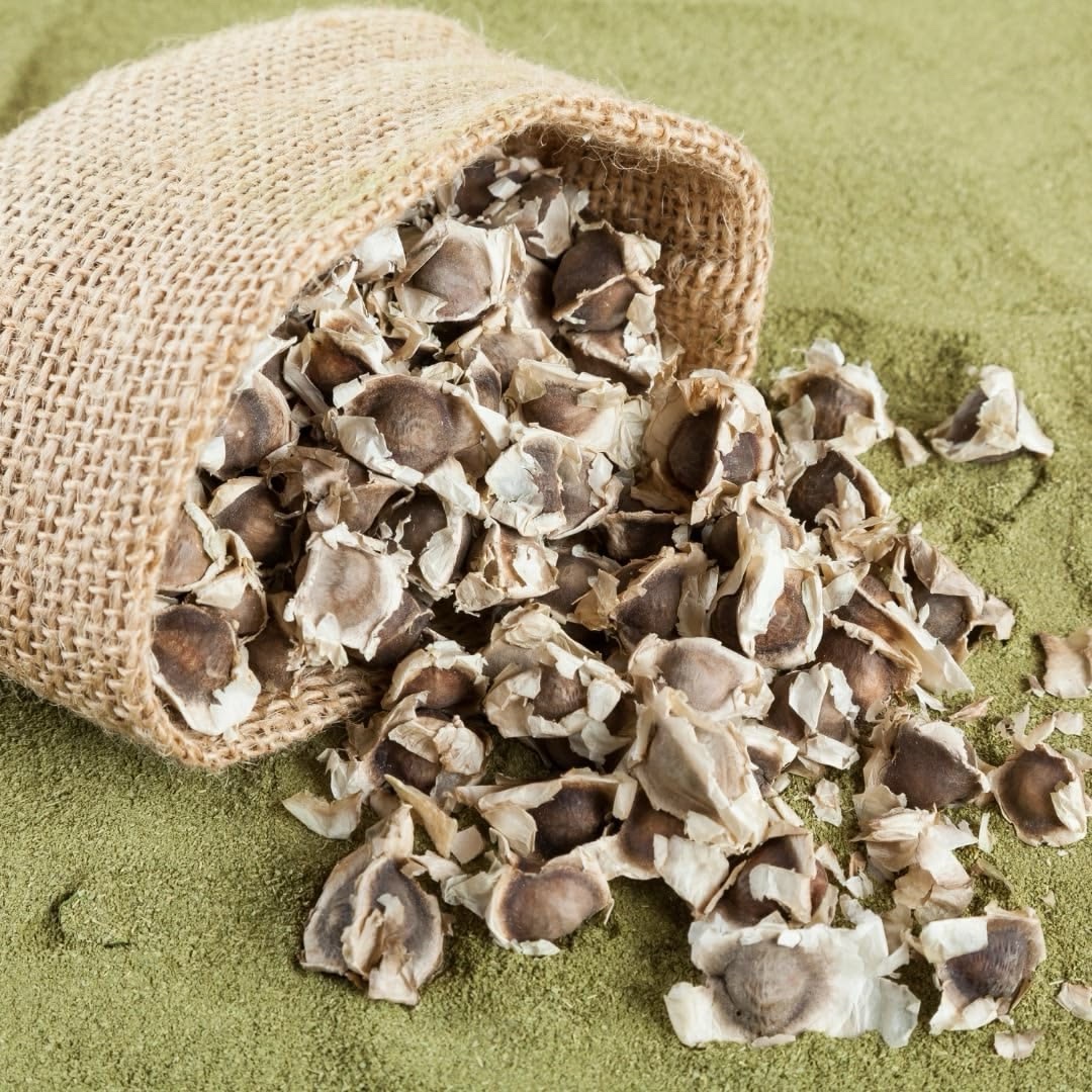 Moringa seed (60 grams)