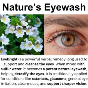 Eye bright (50grams)