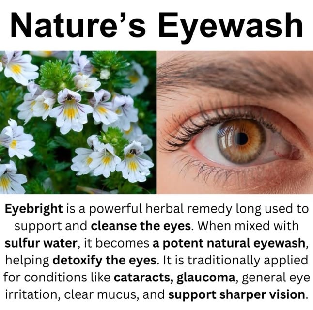 Eye bright (50grams)