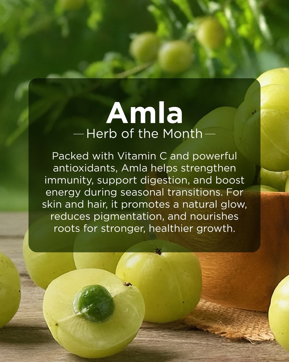 Amla/Indian Gooseberry (50 grams) - Image 2